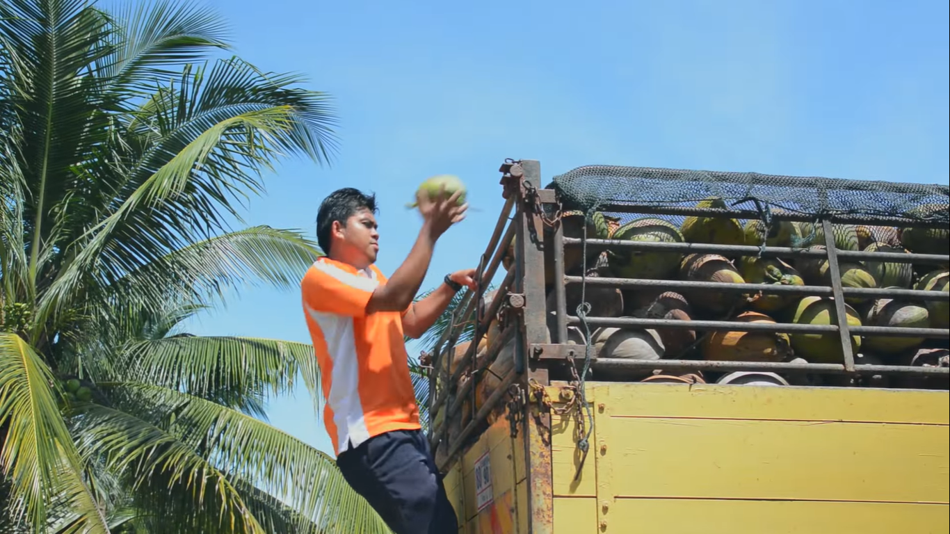 Ethical Coconut Sourcing